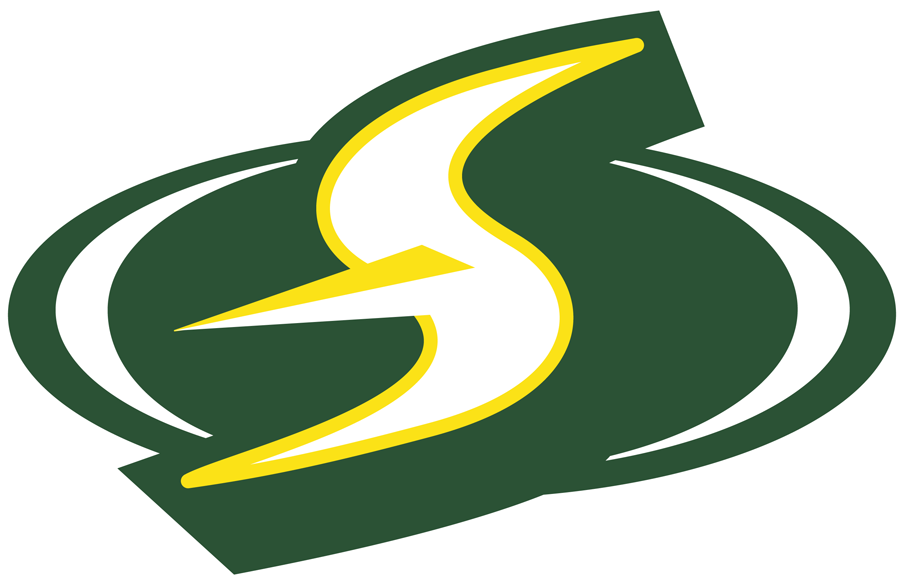 Seattle Storm 2016-Pres Alternate Logo iron on transfers for T-shirts